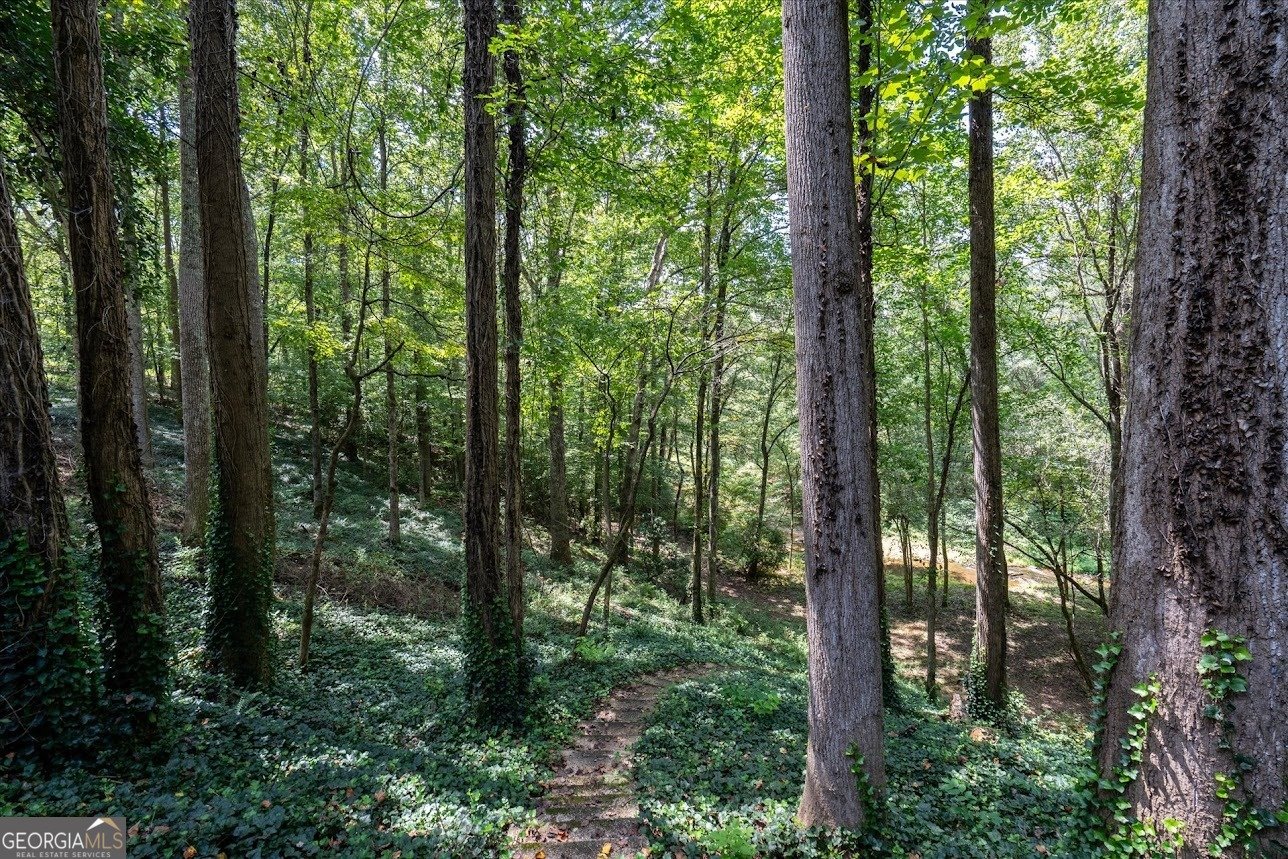 2237 Clem Lowell Road Carrollton - Photo 55