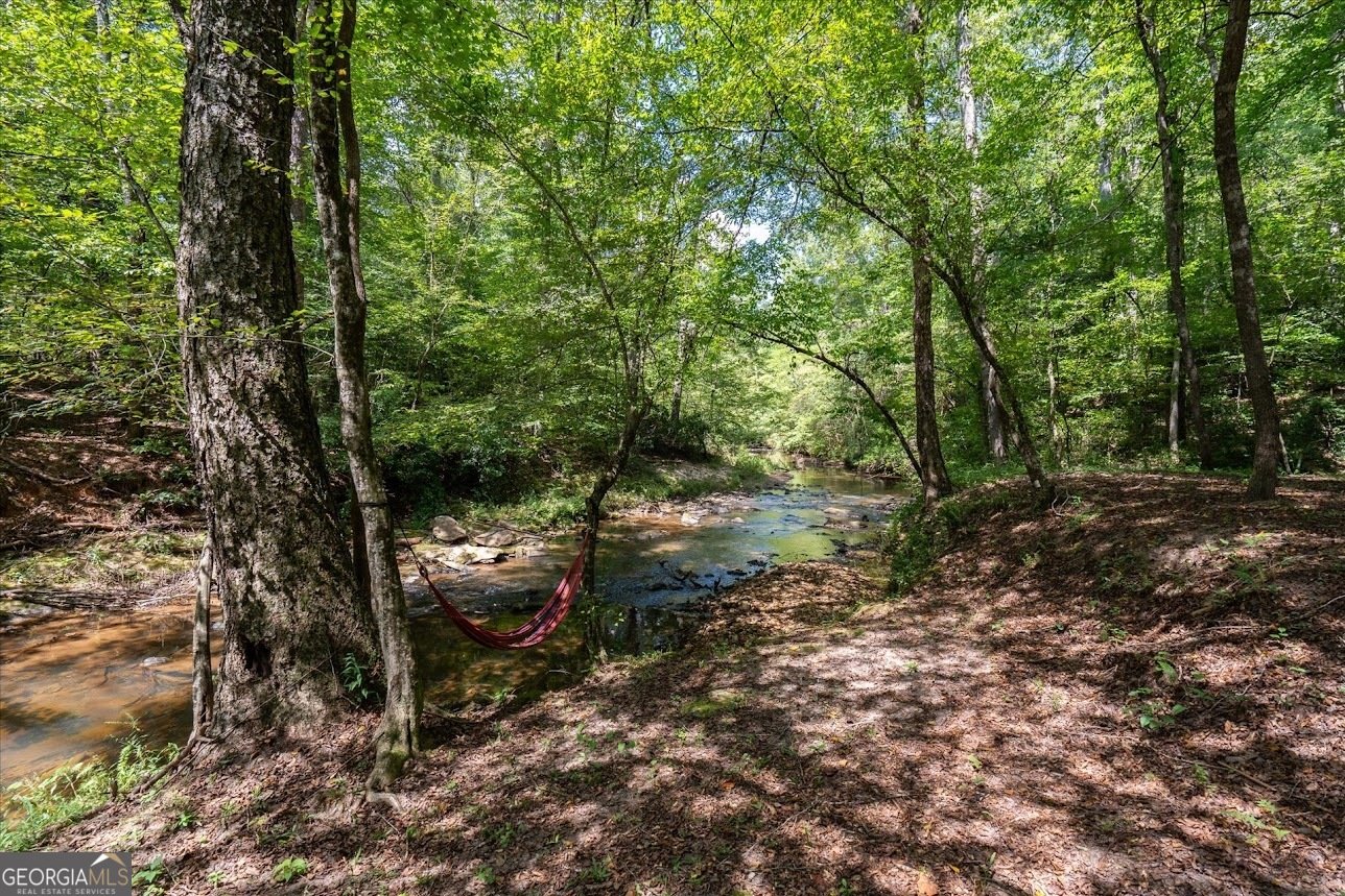 2237 Clem Lowell Road Carrollton - Photo 57