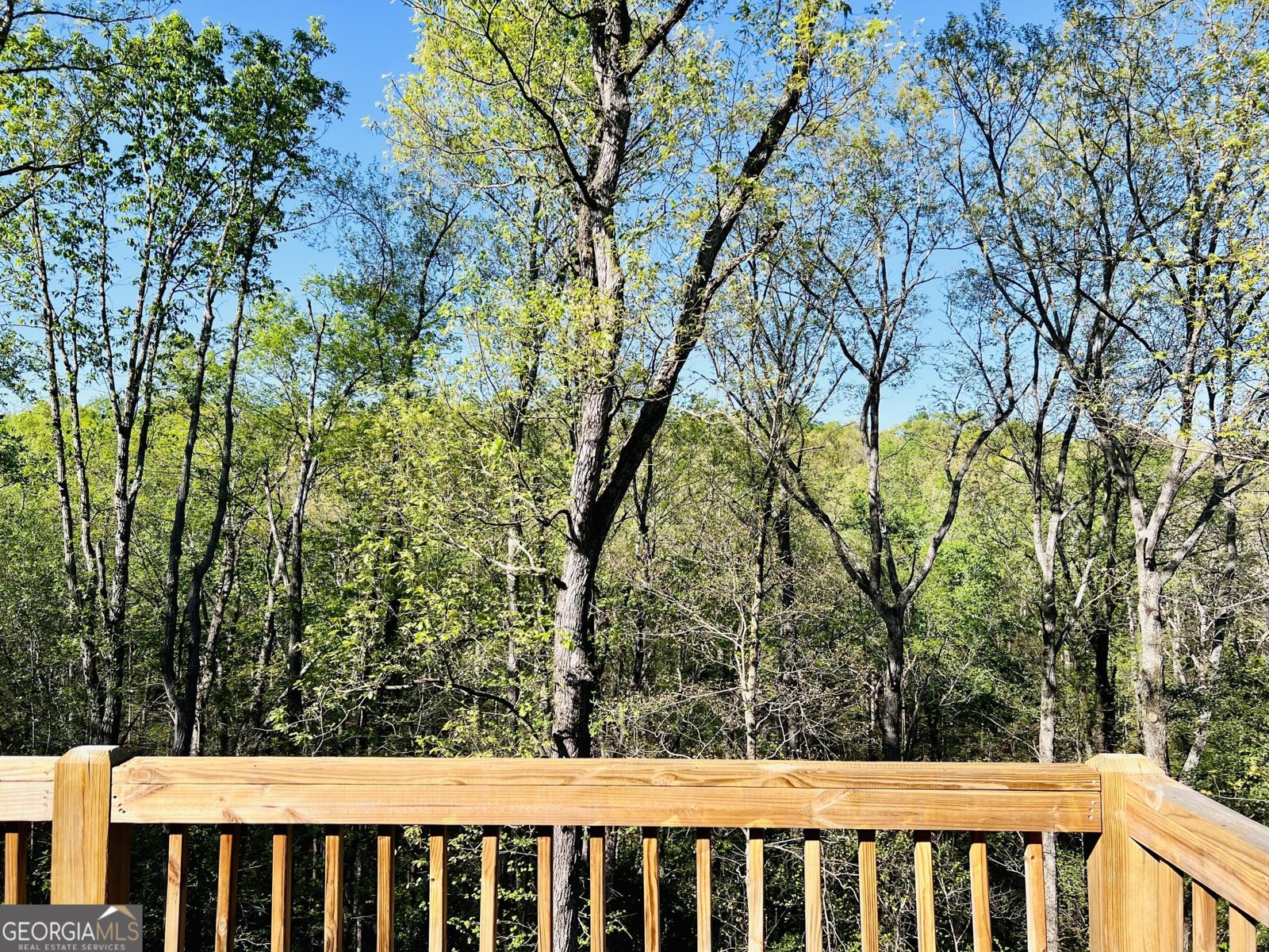 285 W0lf Den Road Royston - Photo 18