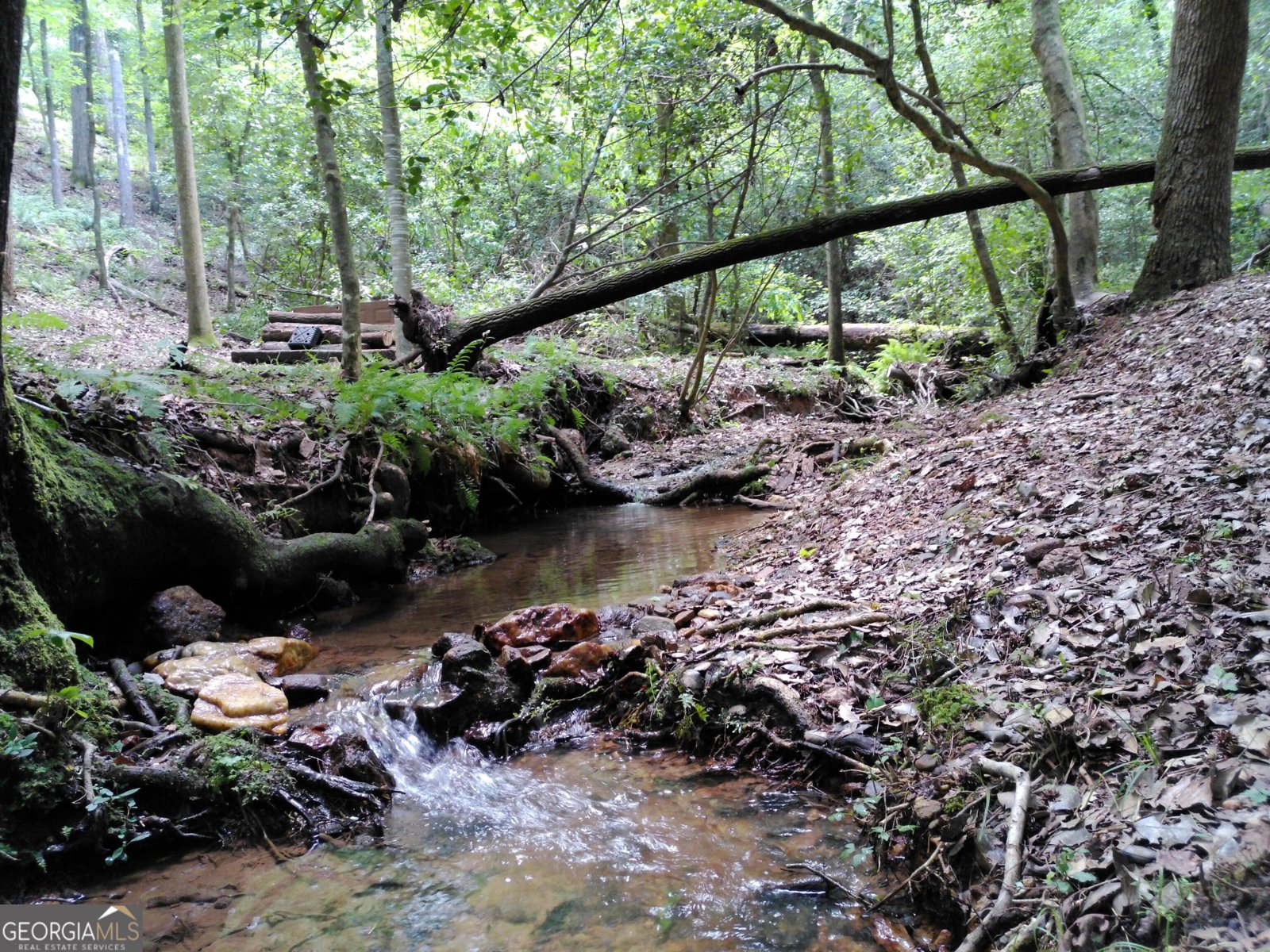 285 W0lf Den Road Royston - Photo 47