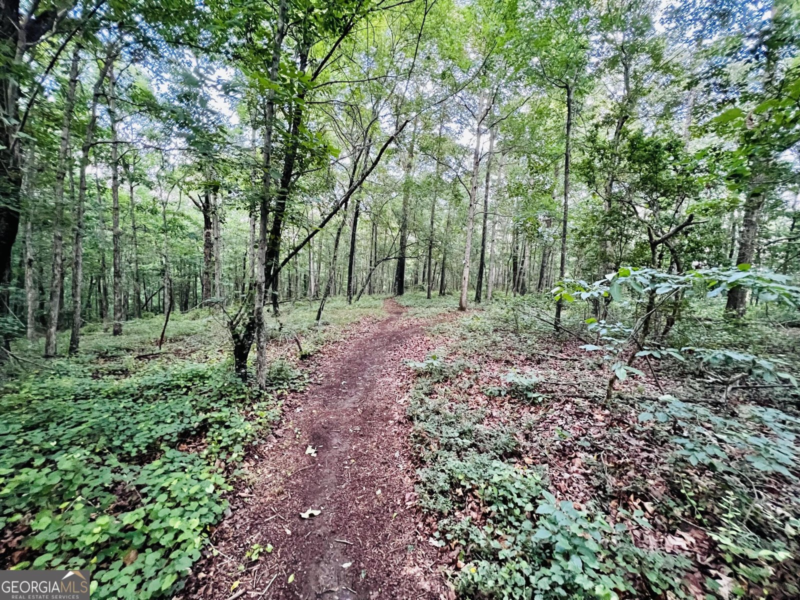 285 W0lf Den Road Royston - Photo 48