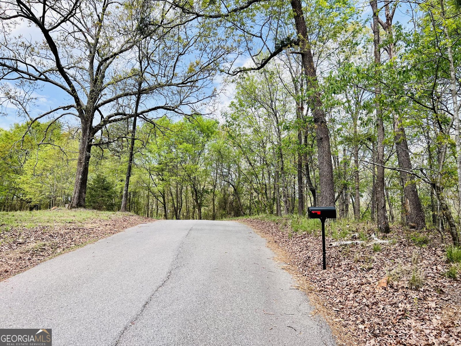 285 W0lf Den Road Royston - Photo 59