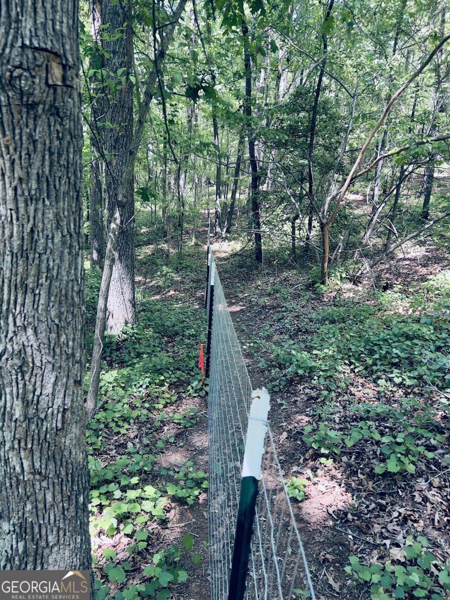 285 W0lf Den Road Royston - Photo 62