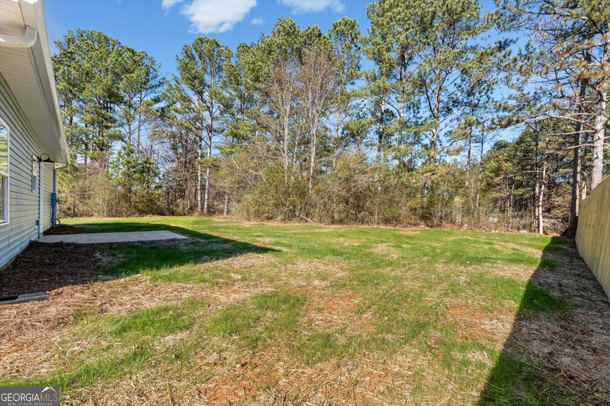 146 Old Brock Road Rockmart - Photo 37