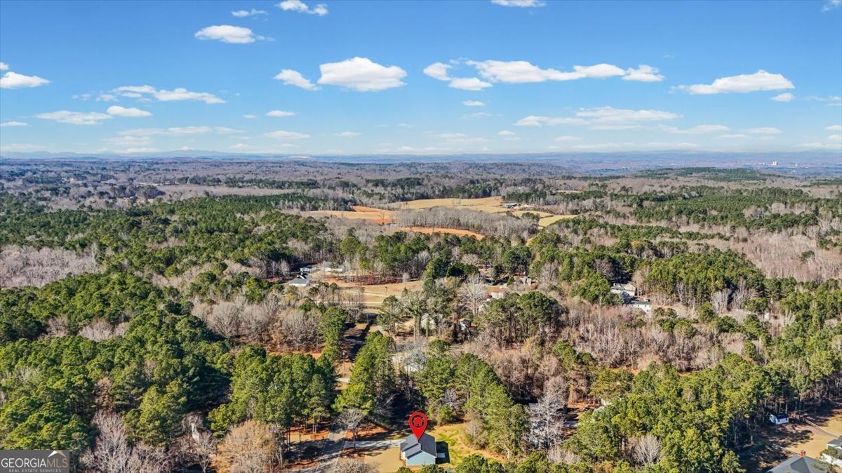 146 Old Brock Road Rockmart - Photo 44