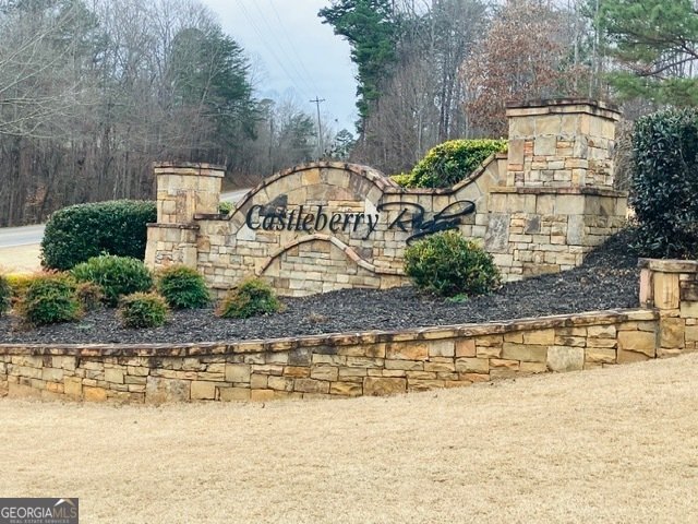 51 Morgan Lane Dawsonville - Photo 39