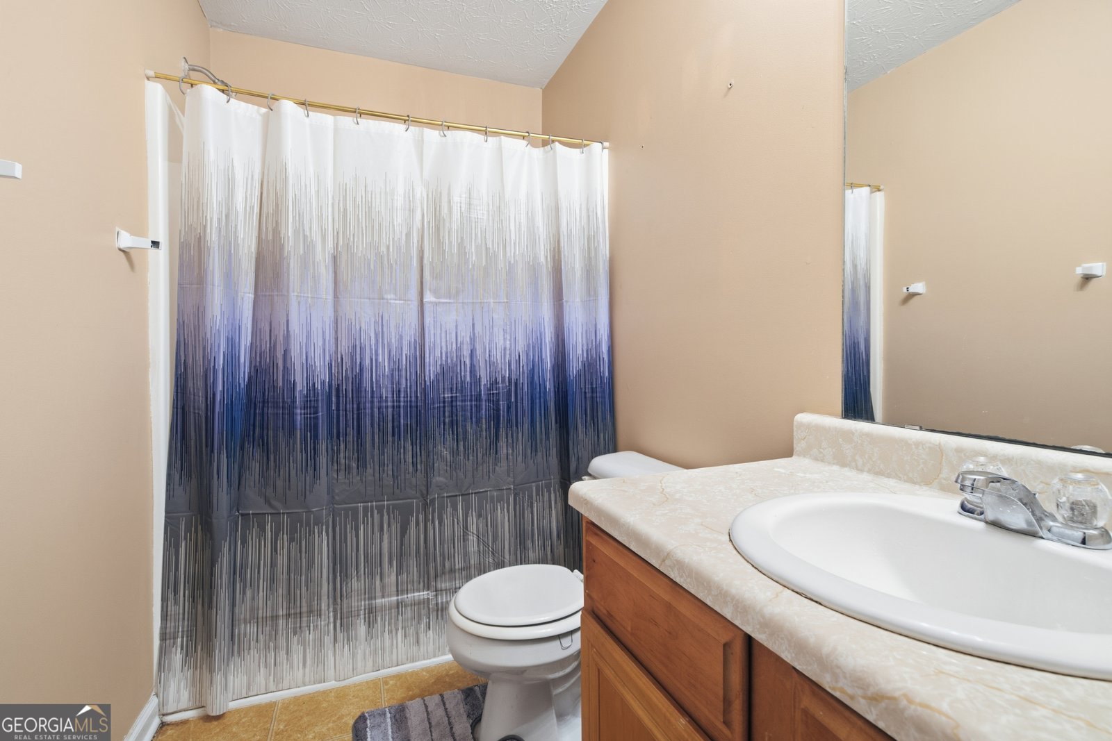 11241 Aliyah Drive Hampton - Photo 14