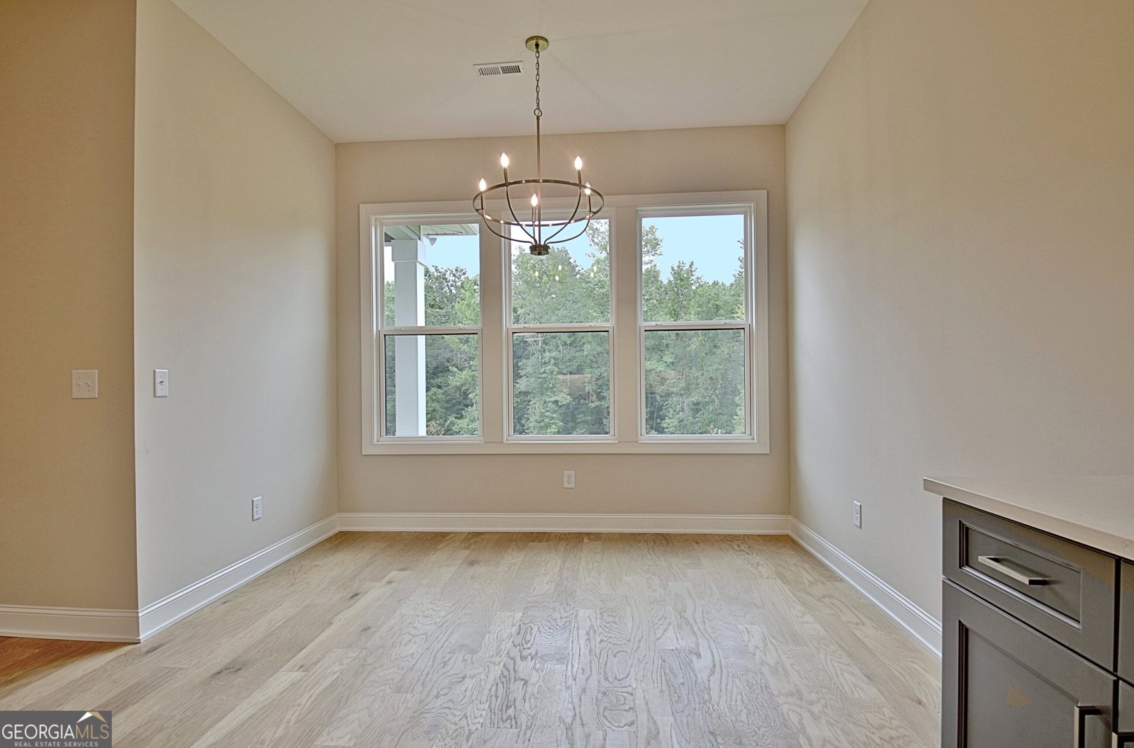 349 Werner Way Senoia - Photo 22