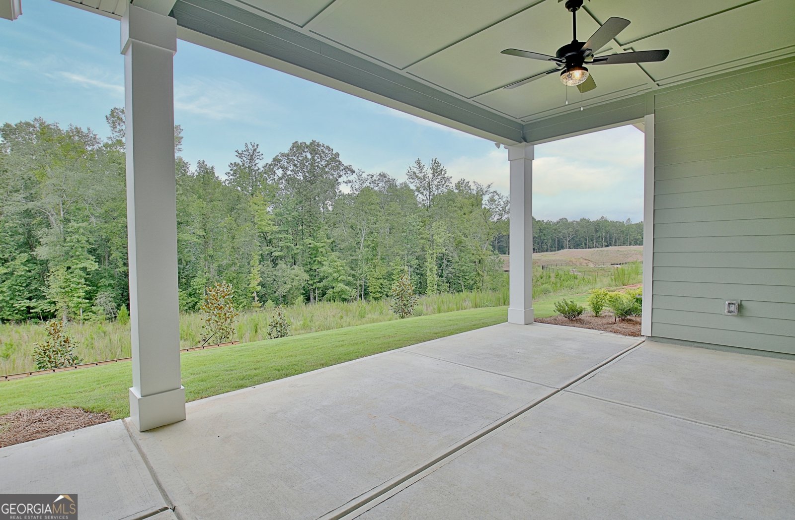 349 Werner Way Senoia - Photo 67