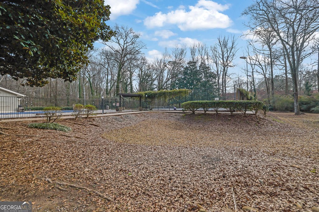 2163 Palmyra Drive Marietta - Photo 39