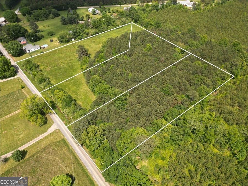 525 Grogan Road Buchanan - Photo 41