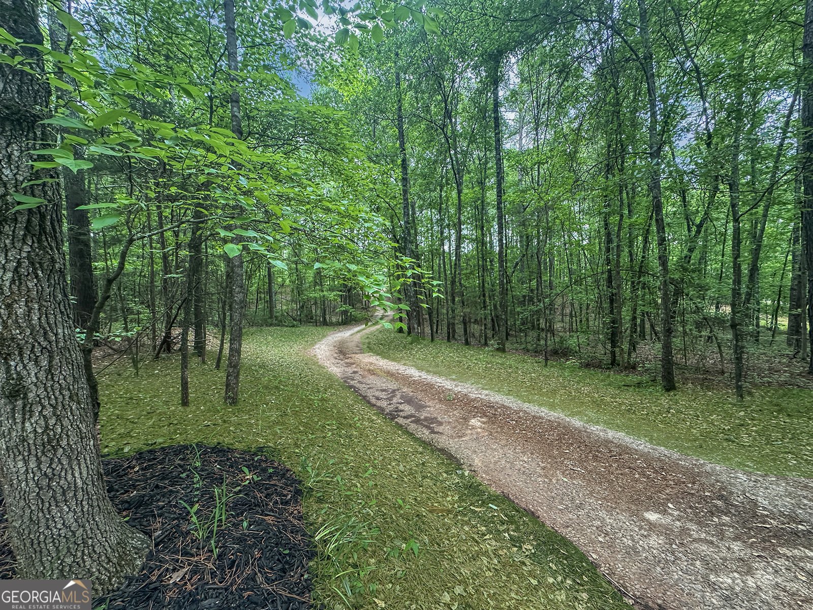 715 Frog Road Locust Grove - Photo 49