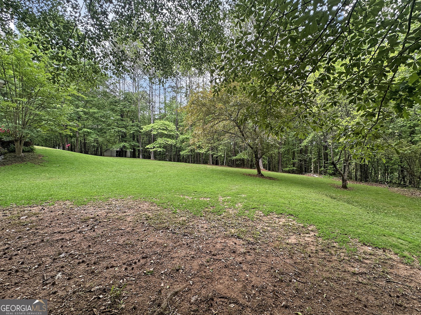 715 Frog Road Locust Grove - Photo 52