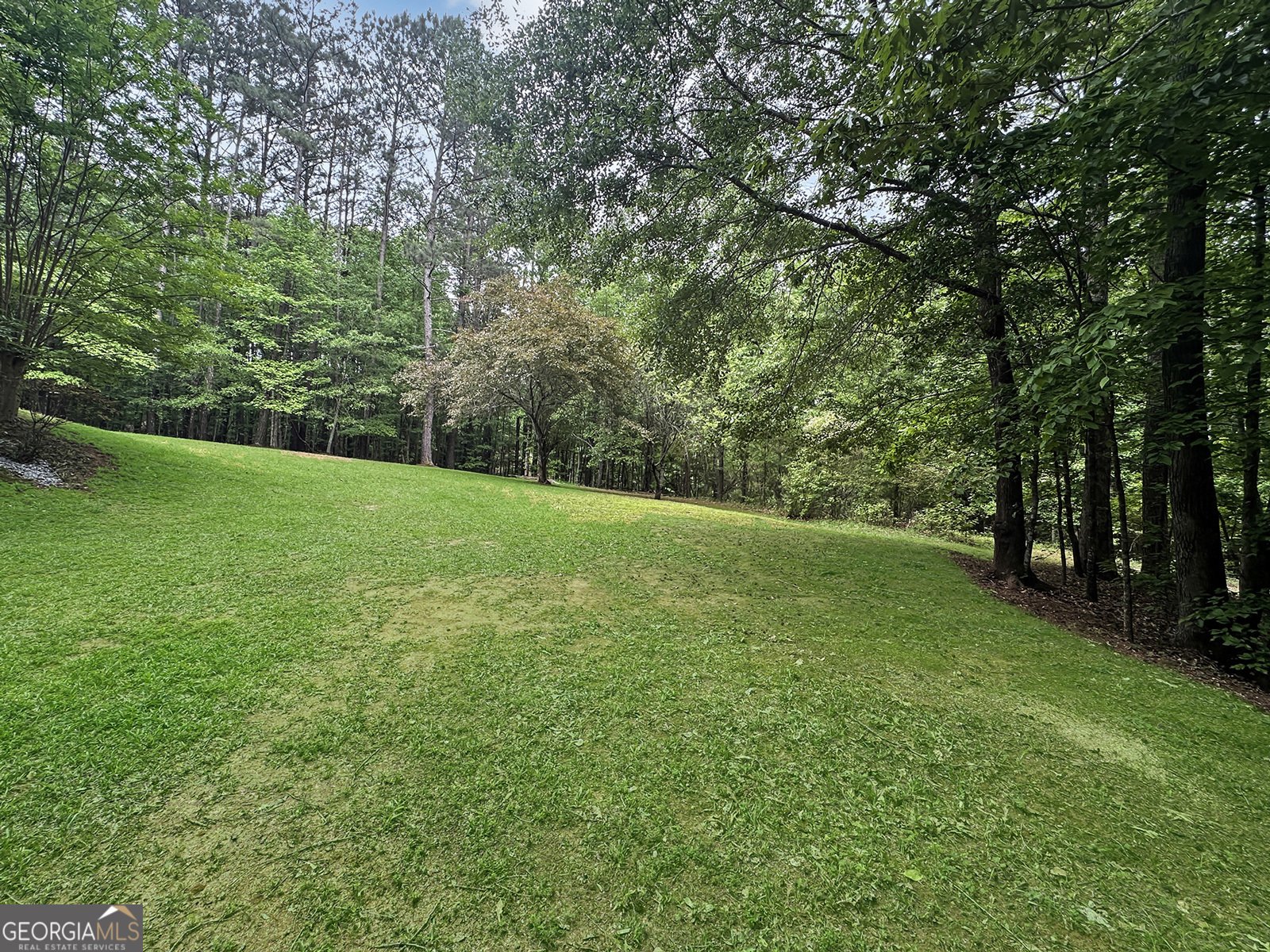 715 Frog Road Locust Grove - Photo 53