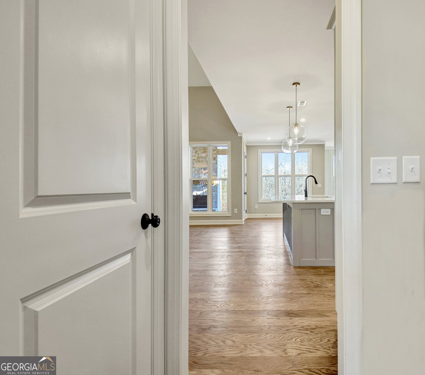 355 Werner Way Senoia - Photo 14