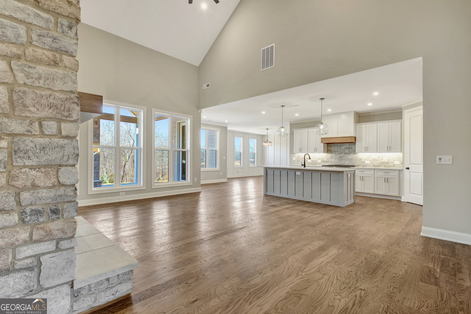 355 Werner Way Senoia - Photo 17