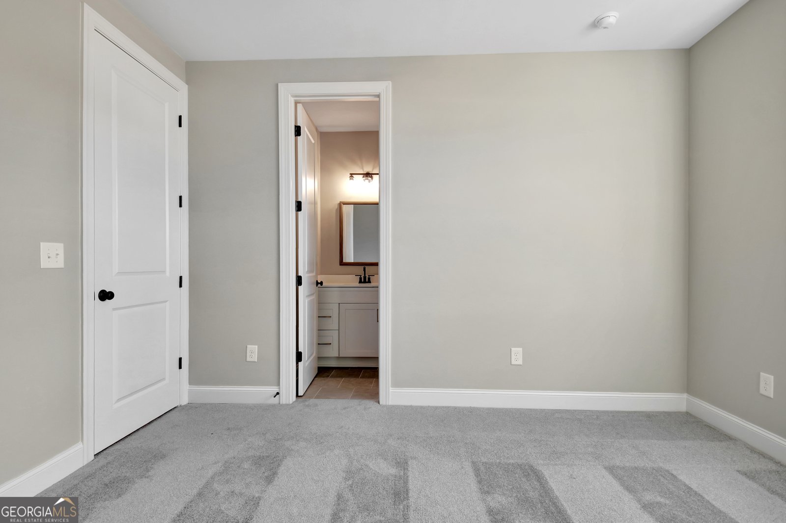 355 Werner Way Senoia - Photo 76