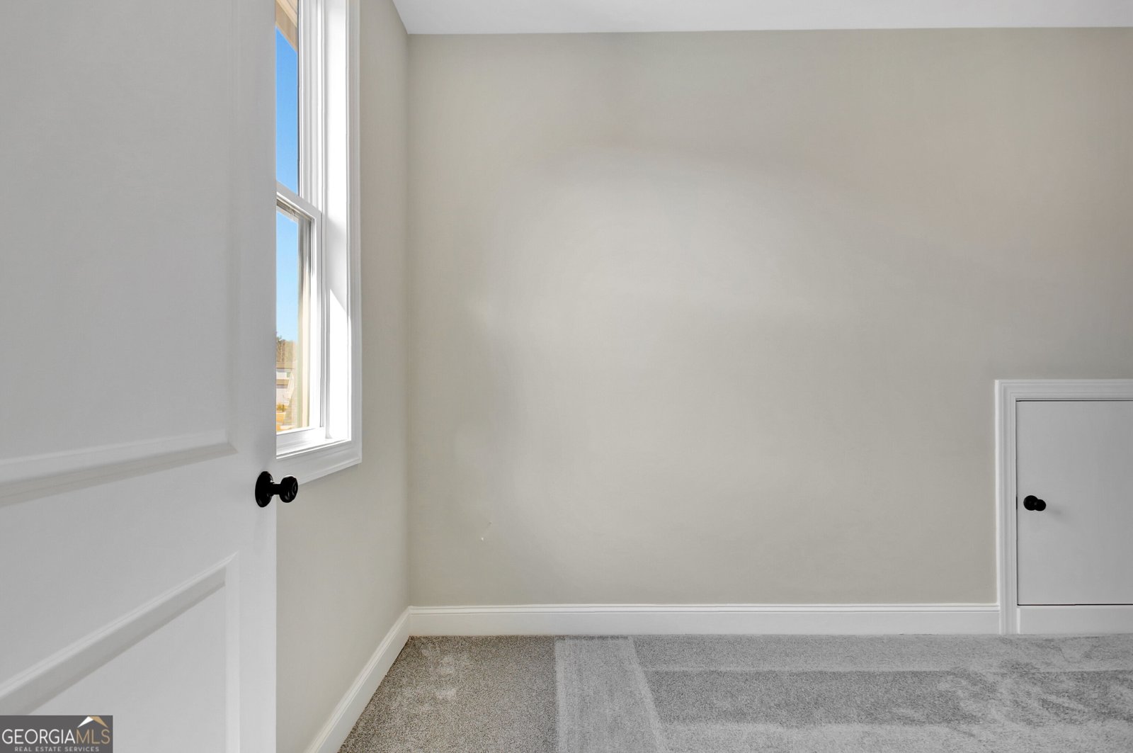 355 Werner Way Senoia - Photo 78