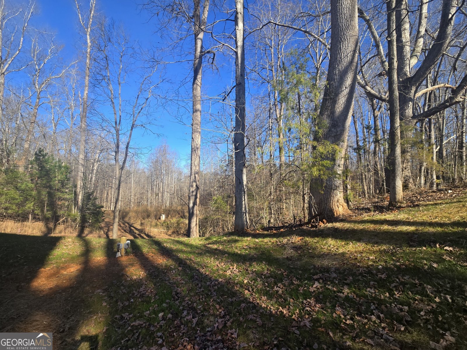 3107 Westchester Drive Gainesville - Photo 46