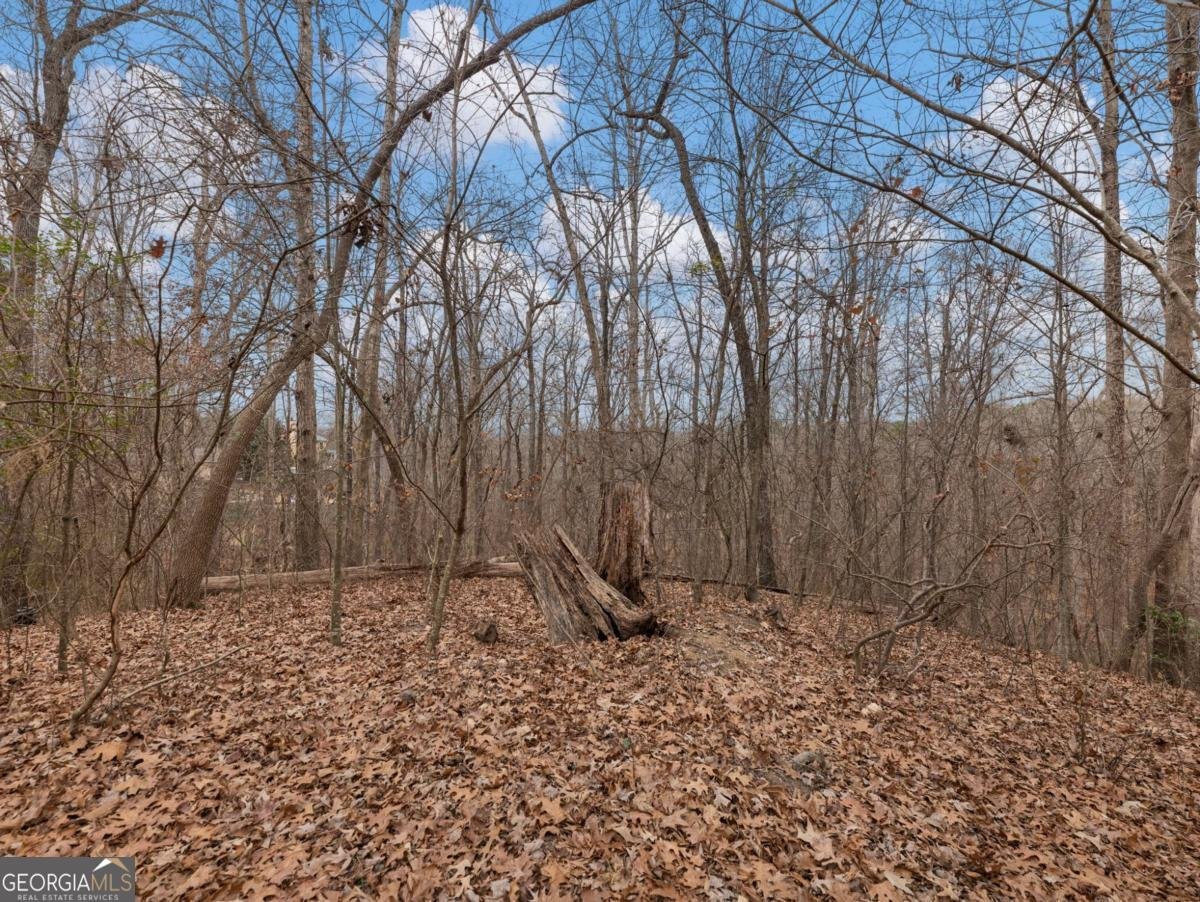 8755 Covestone Drive Gainesville - Photo 53