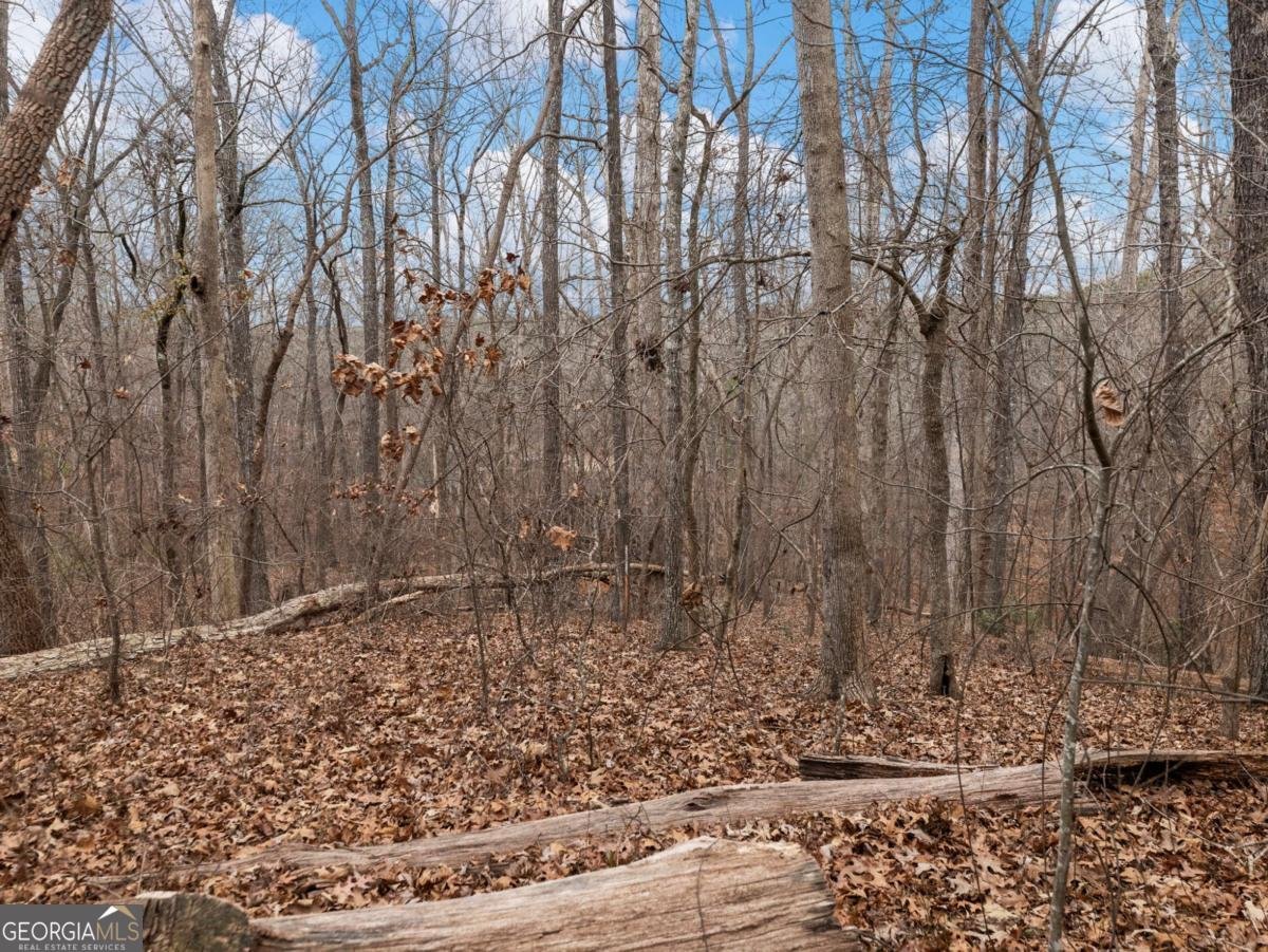 8755 Covestone Drive Gainesville - Photo 54