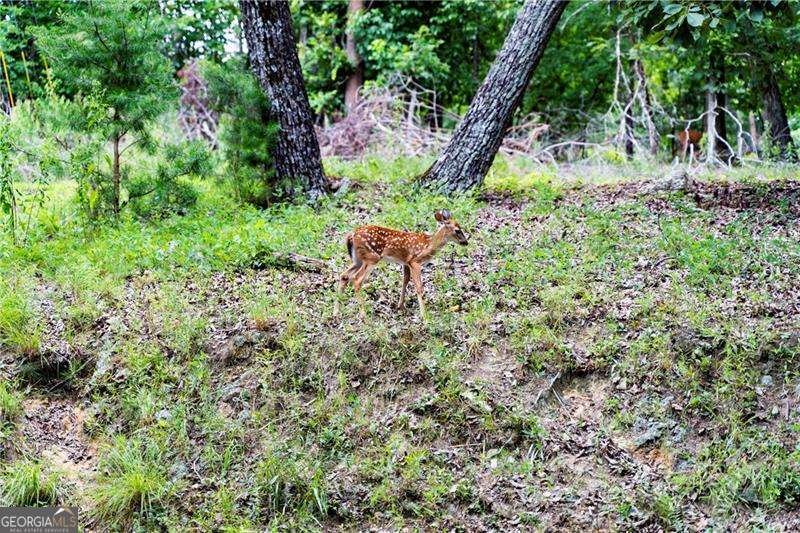 110 Fort Gibson Court Waleska - Photo 33