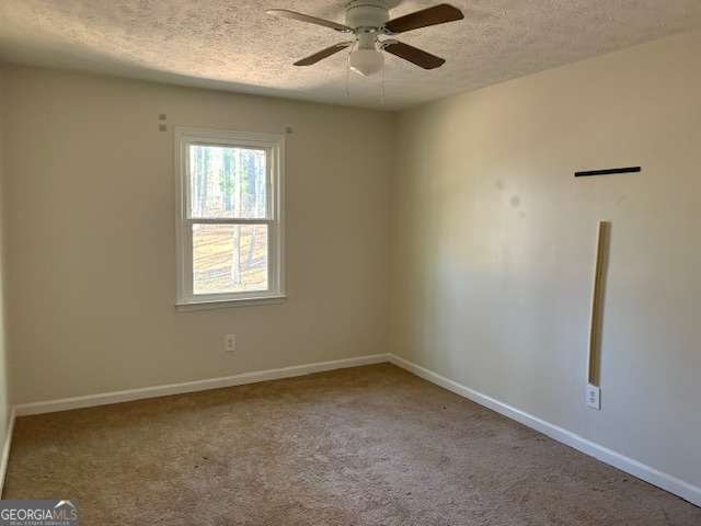 7037 Shangrila Trail Riverdale - Photo 13