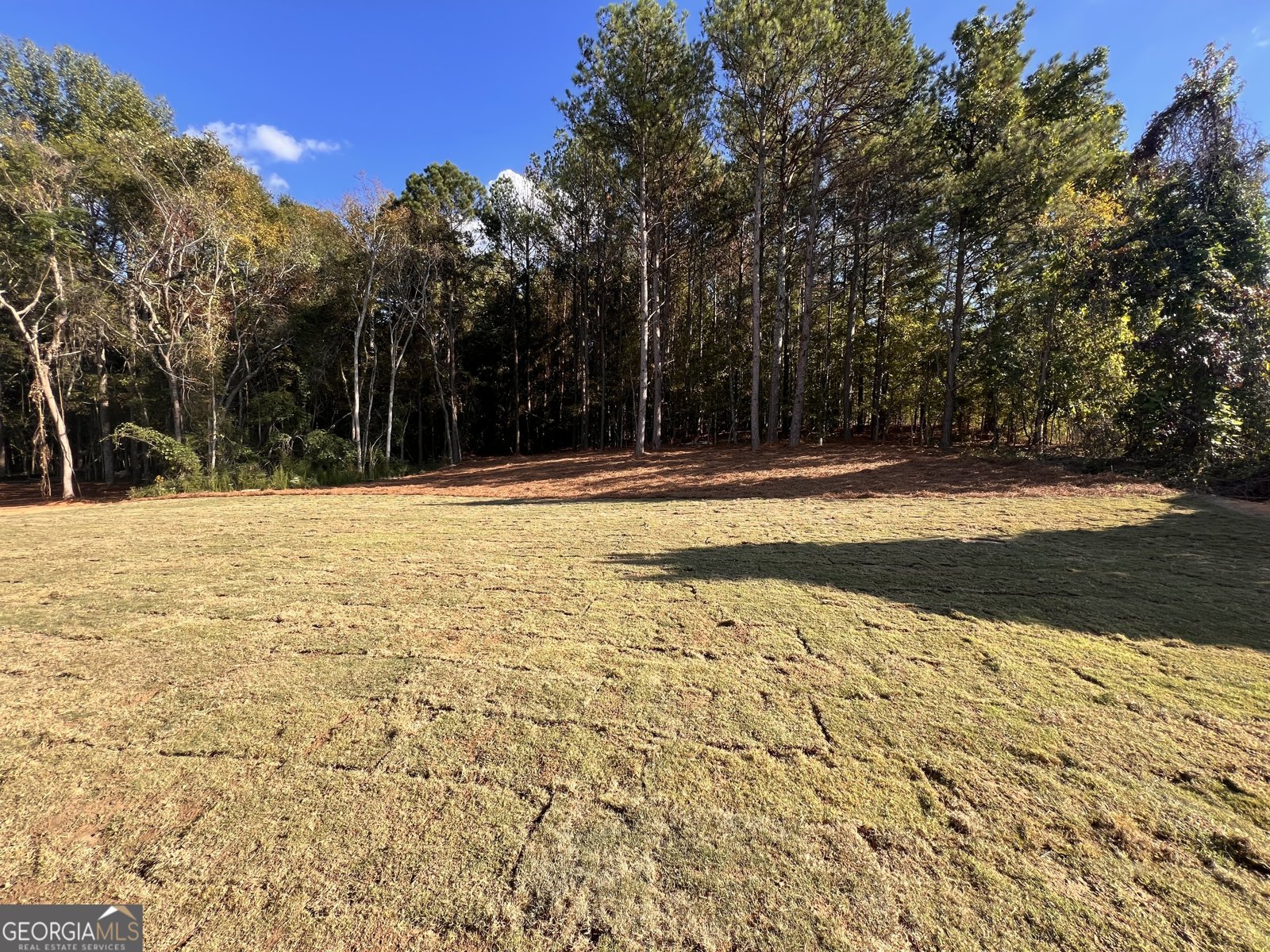 865 Elder Drive Jefferson - Photo 7