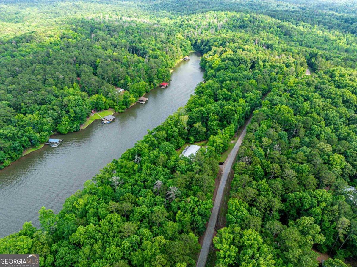 736 Susan Davis Road Sparta - Photo 56