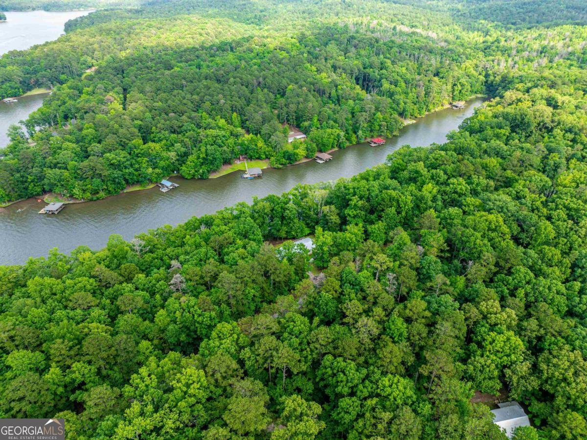 736 Susan Davis Road Sparta - Photo 57