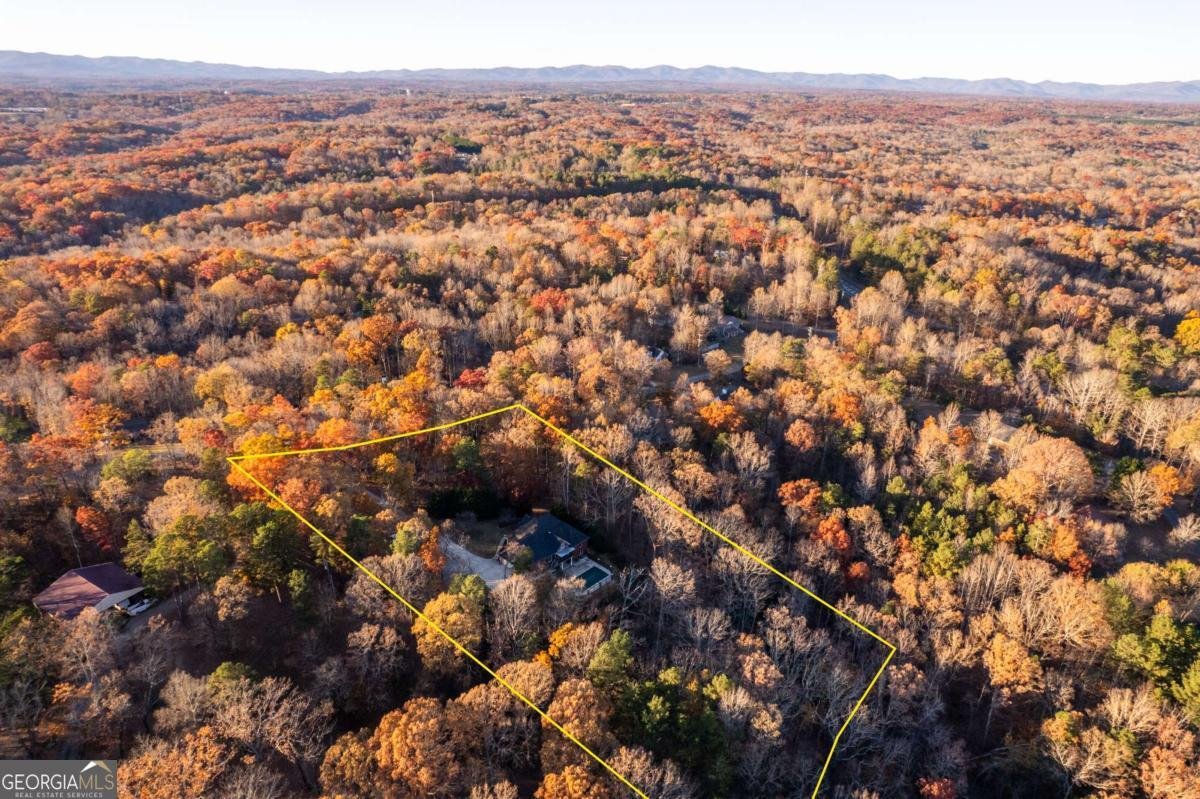 239 Hugh Stowers Road Dawsonville - Photo 44