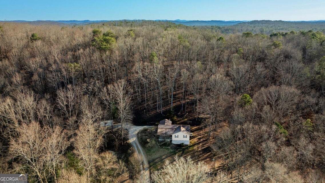 614 Bradley Street Lafayette - Photo 39