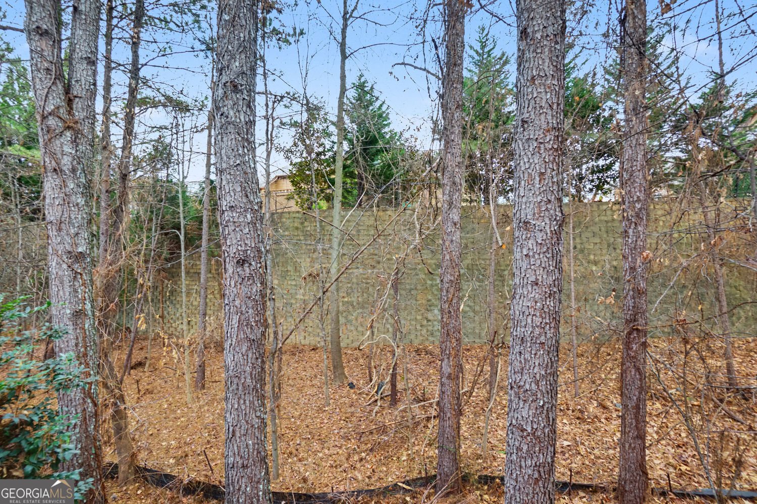 850 Abbotts Mill Court Johns Creek - Photo 20