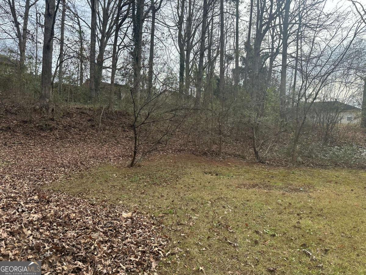 118 Julie Lane Stockbridge - Photo 30