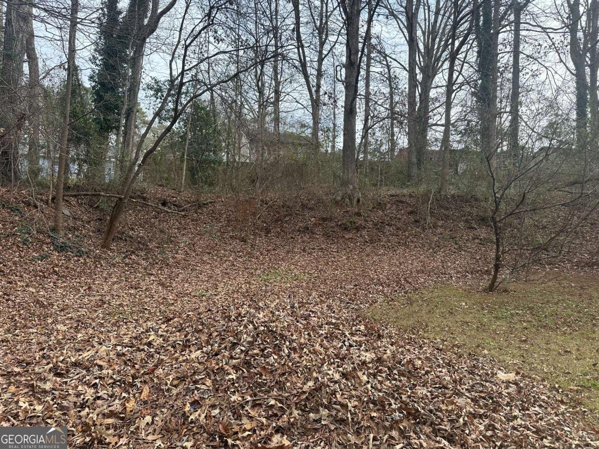 118 Julie Lane Stockbridge - Photo 31