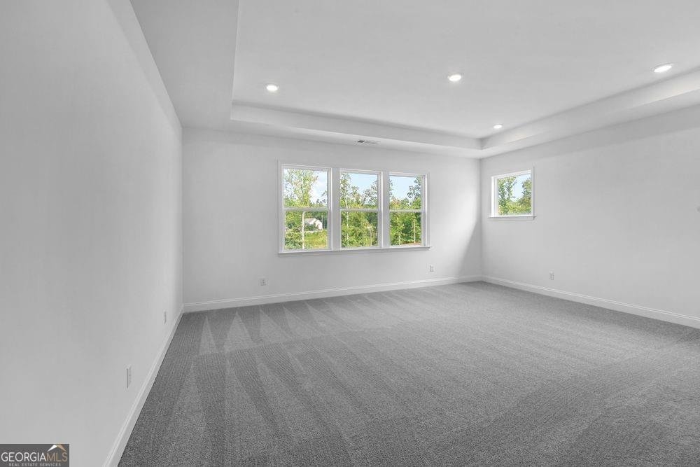 8710 Stratford Oaks Avenue Ball Ground - Photo 12