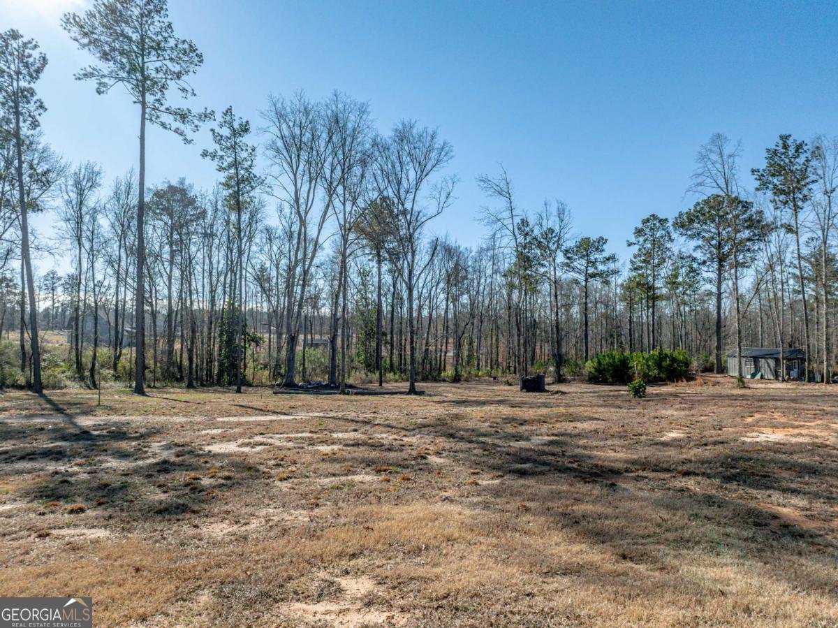 103 Hammond Road Griffin - Photo 12