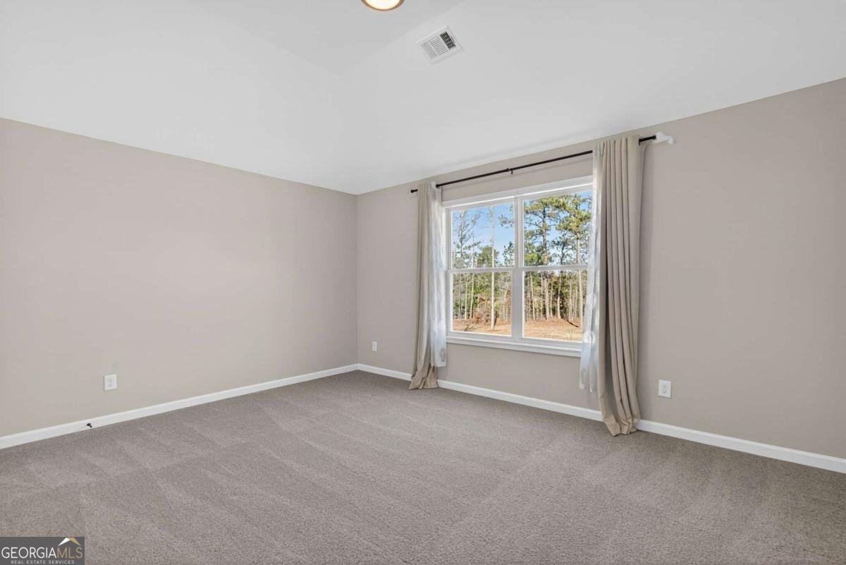 103 Hammond Road Griffin - Photo 51