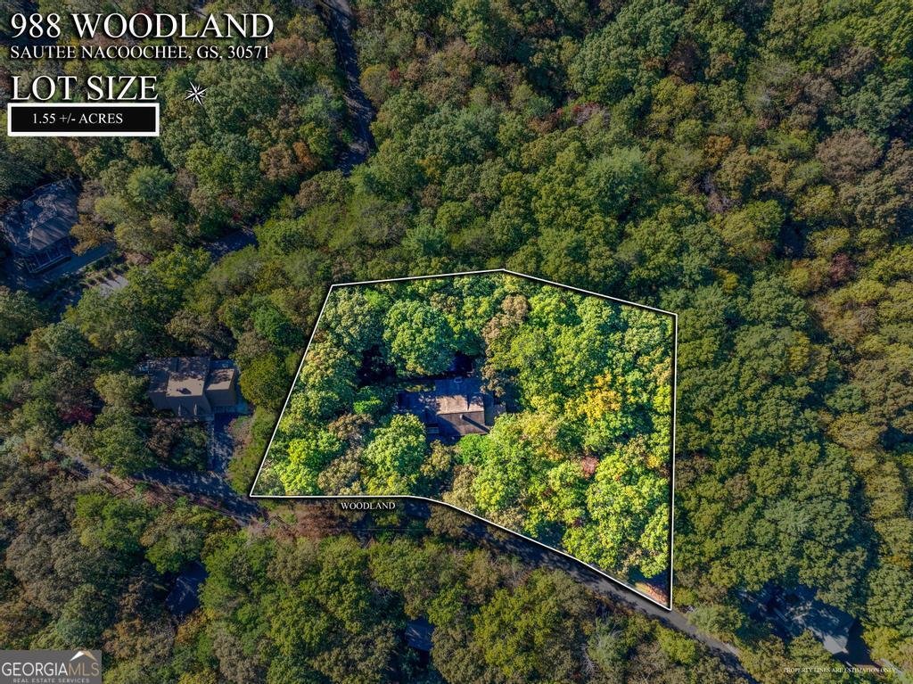 988 Woodland Sautee Nacoochee - Photo 47