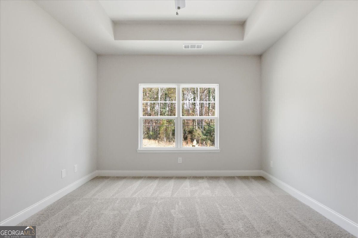 55 Wright Street Lavonia - Photo 19