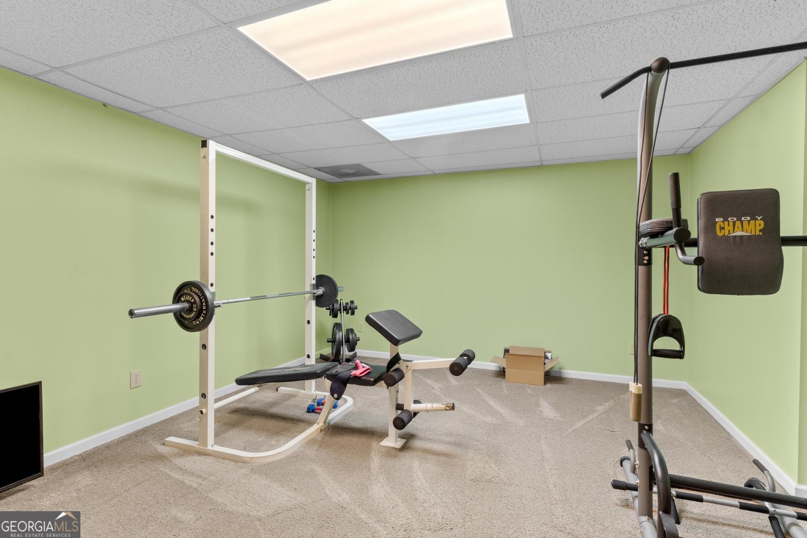 125 Allie Drive Mcdonough - Photo 22