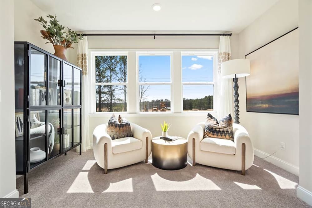 3453 Hillyard Drive Dacula - Photo 36