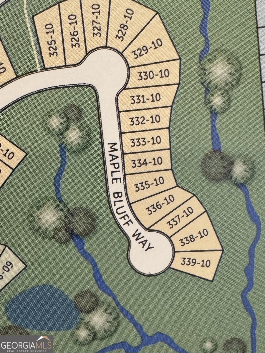 5947 Maple Bluff Way Hoschton - Photo 42