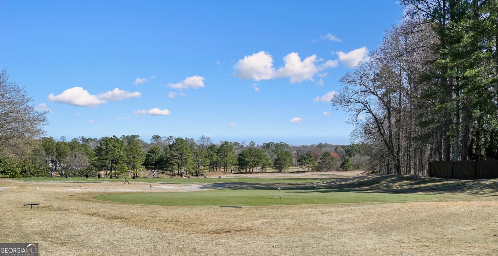 6690 Brookline Court Cumming - Photo 65
