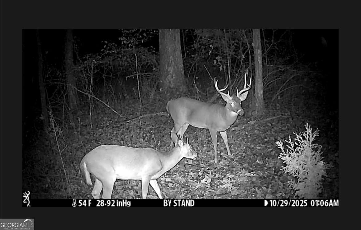 1280 Ragan Road Douglasville - Photo 32