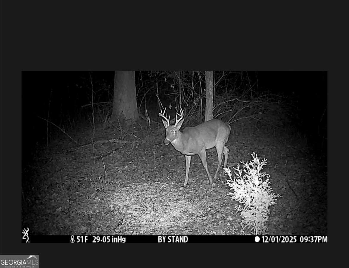 1280 Ragan Road Douglasville - Photo 33