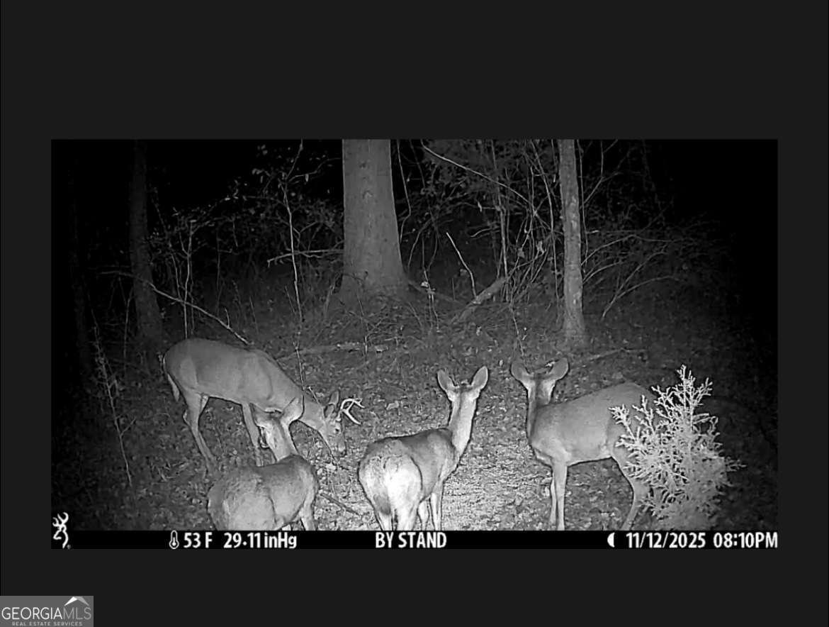 1280 Ragan Road Douglasville - Photo 34