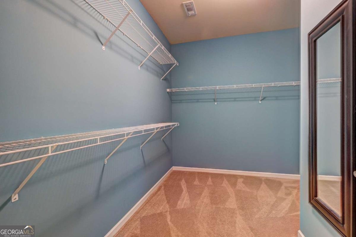 101 Riverside Lane Woodstock - Photo 26