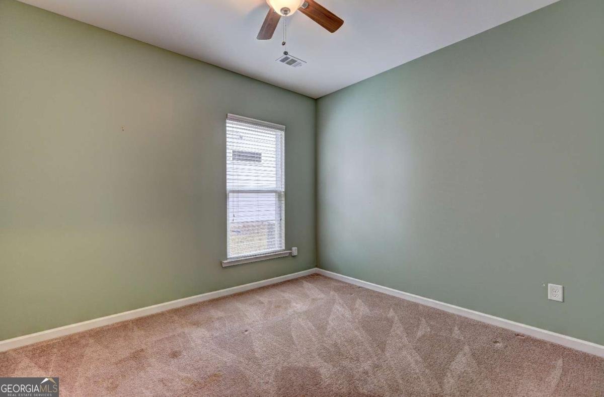 101 Riverside Lane Woodstock - Photo 28