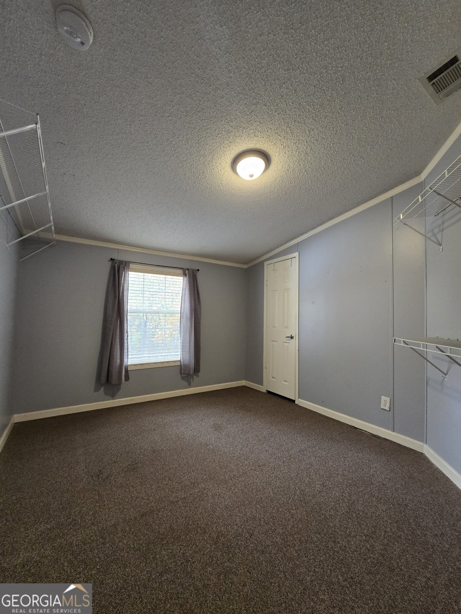 338 Day Street Molena - Photo 33